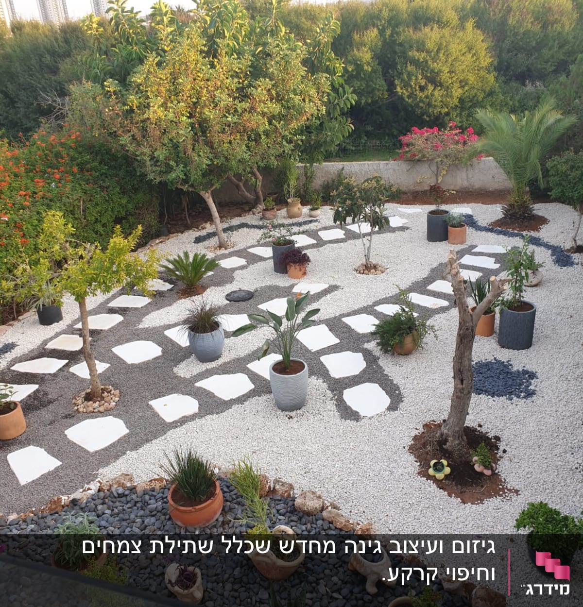 עצים גזומים בגינה עם שביל אבנים